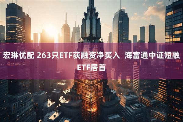 宏琳优配 263只ETF获融资净买入  海富通中证短融ETF居首