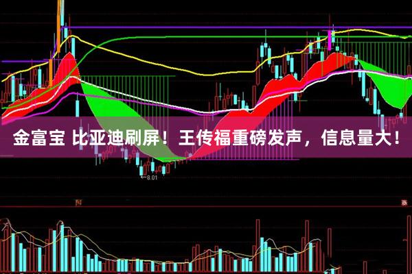 金富宝 比亚迪刷屏！王传福重磅发声，信息量大！