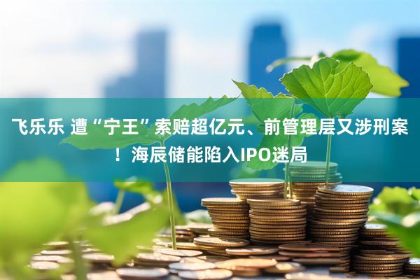 飞乐乐 遭“宁王”索赔超亿元、前管理层又涉刑案！海辰储能陷入IPO迷局