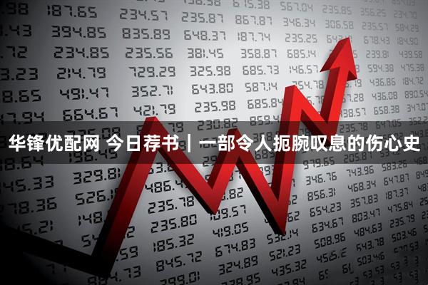 华锋优配网 今日荐书｜一部令人扼腕叹息的伤心史