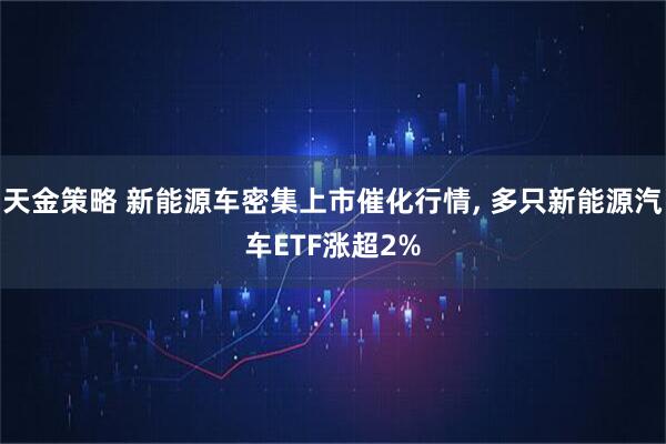 天金策略 新能源车密集上市催化行情, 多只新能源汽车ETF涨超2%