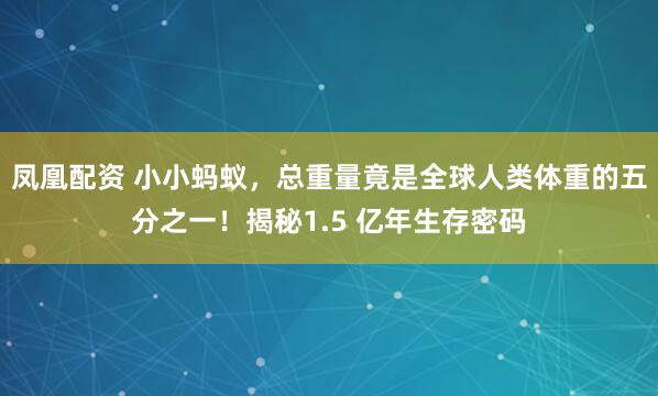 凤凰配资 小小蚂蚁，总重量竟是全球人类体重的五分之一！揭秘1.5 亿年生存密码