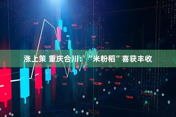 涨上策 重庆合川：“米粉稻”喜获丰收